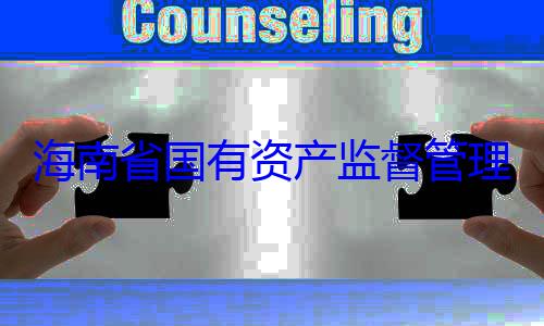 海南省国有资产监督管有福接受审理委员会党委副书记王查调查